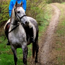 "Apró Paták" Lovas Sport Egyesület